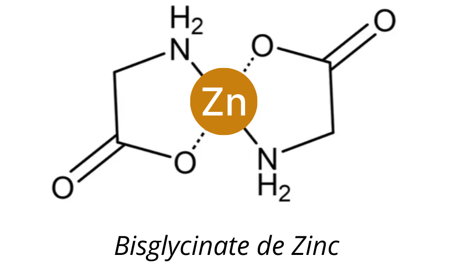bisglycinate de zinc, meilleure forme de zinc